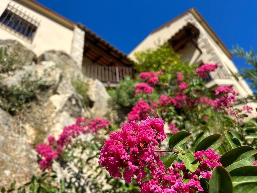 Luxury Bellissimo Gerona